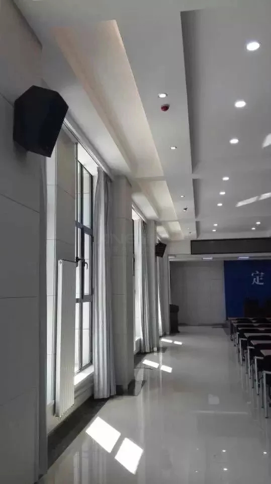 專業擴聲系統